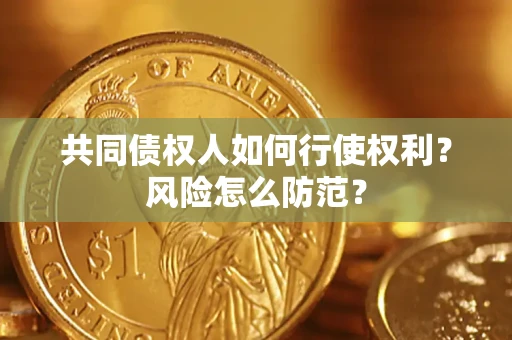 济南共同债权人如何行使权利？风险怎么防范？