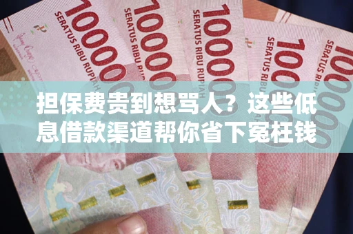 济南担保费贵到想骂人？这些低息借款渠道帮你省下冤枉钱