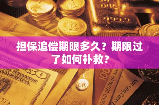 济南担保追偿期限多久？期限过了如何补救？