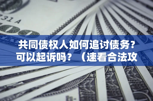济南共同债权人如何追讨债务？可以起诉吗？（速看合法攻略）